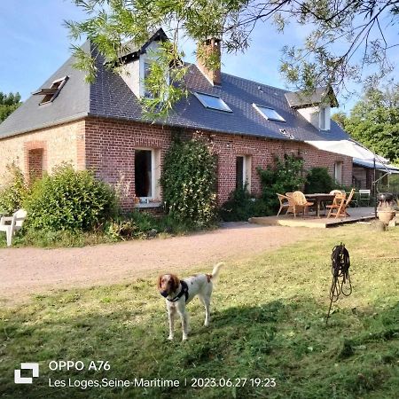 Une Chambre Dans La Verdure Bordeaux-Saint-Clair Ngoại thất bức ảnh
